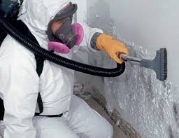 Best Mold Documentation for Insurance Claims  in Cameron, WI